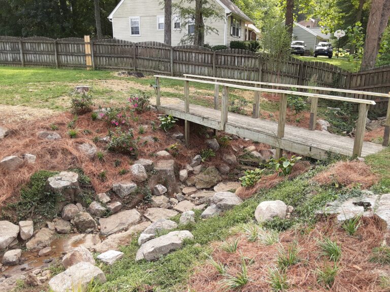 Dry Creek Beds