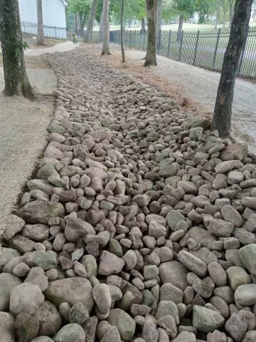Drainage Swale