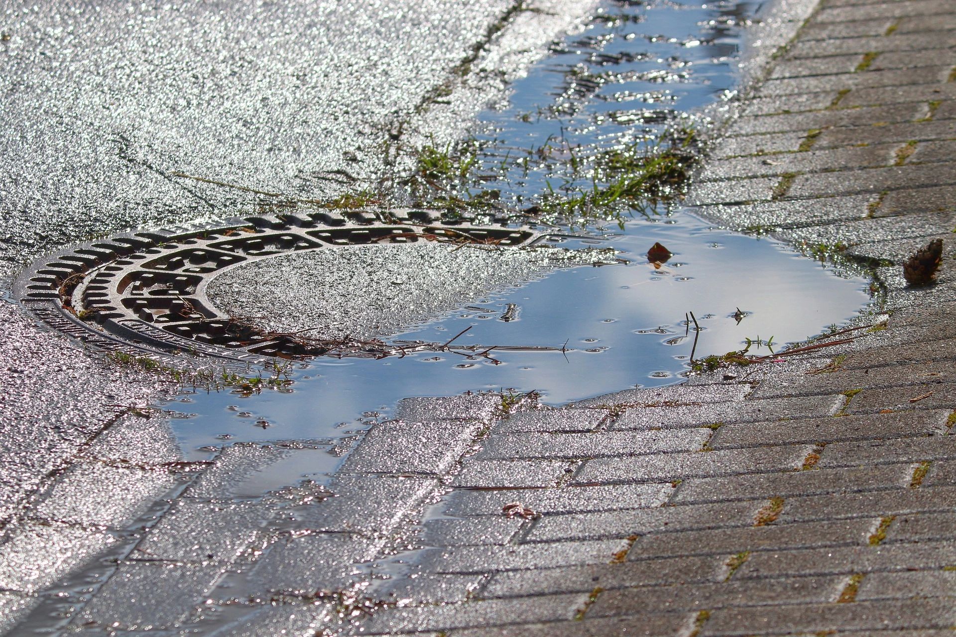image 0 11