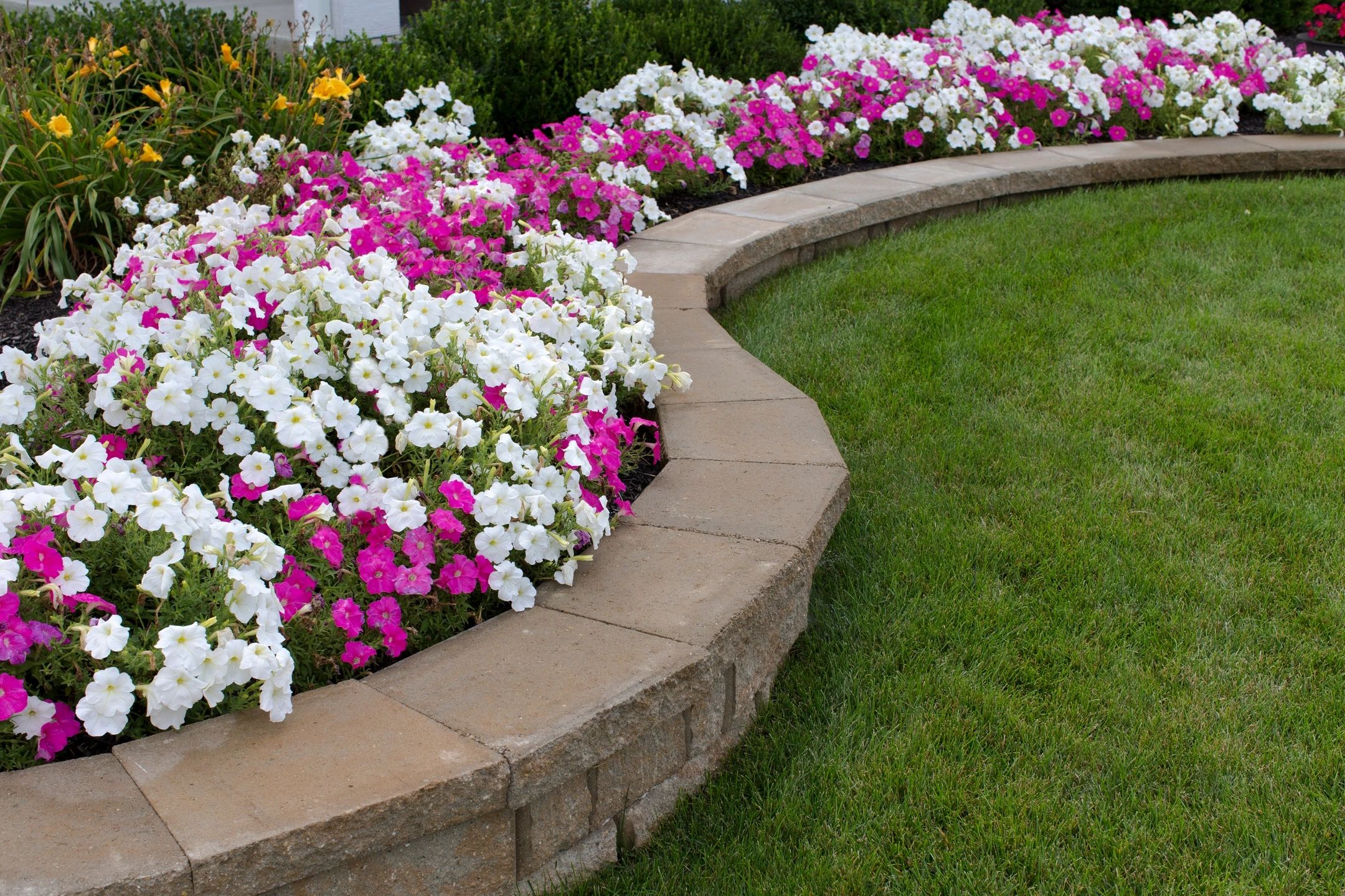 image 0 12