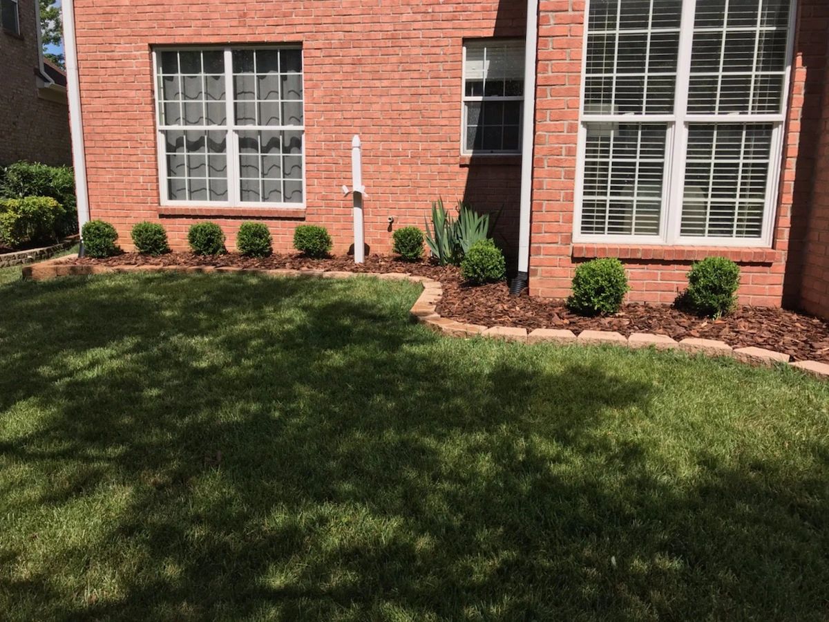 image 0 5