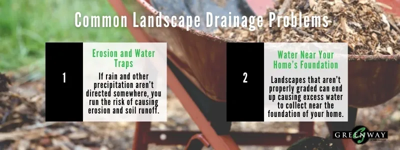 Common Landscape Drainage Problems and How to Solve Them