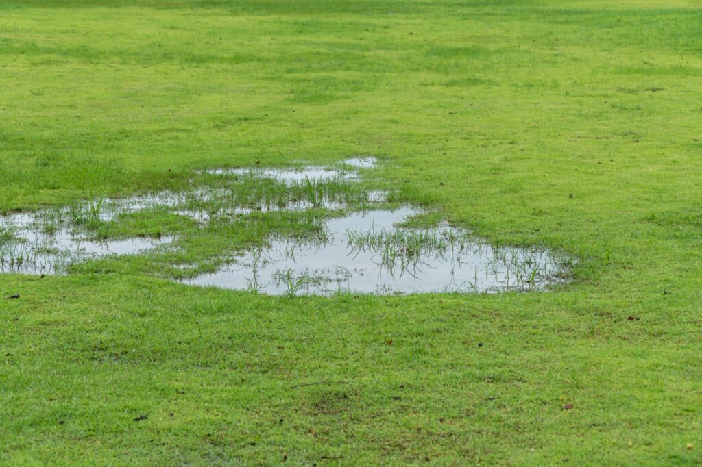 Greenway Nashville TN Solving Yard Flooding in Nashville Why Swales Are a Smart Fall Investment